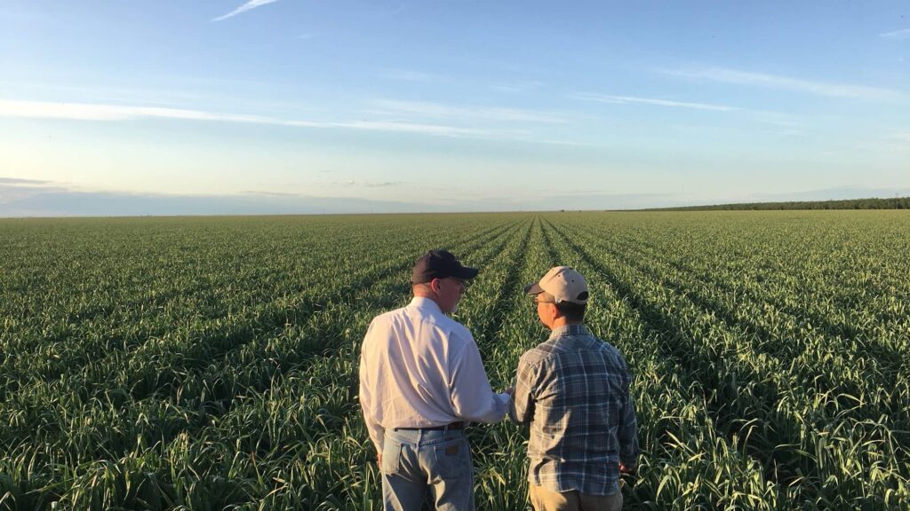 Sustainable ingredients achieving scale