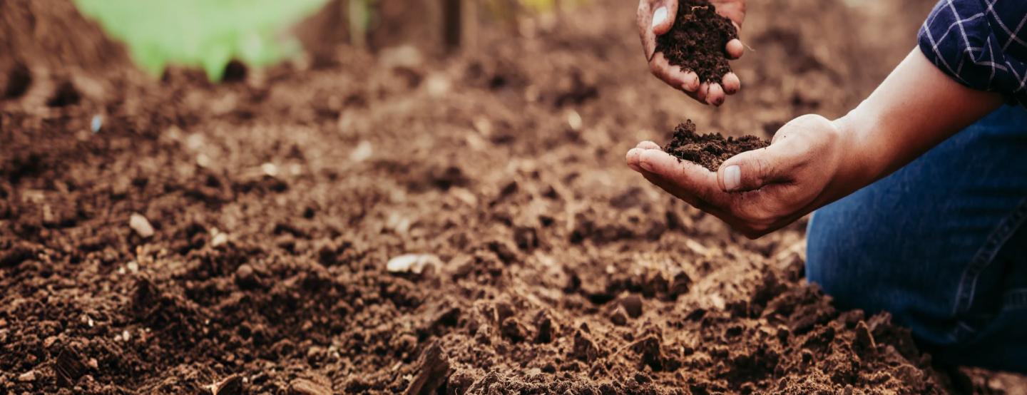 traceability from seed