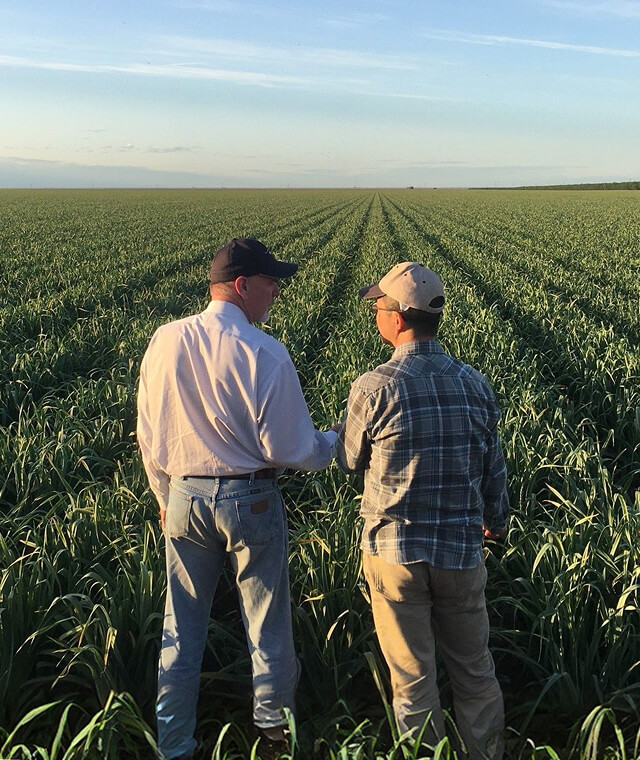 two men talking on farm land